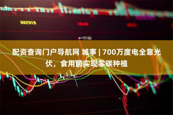 配资查询门户导航网 城事 | 700万度电全靠光伏，食用菌实现零碳种植